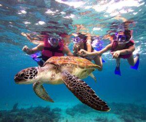 tour-snorkel-xcaret-3