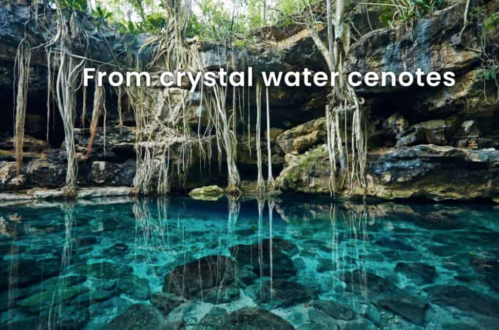 Crystal Water Cenotes Gay