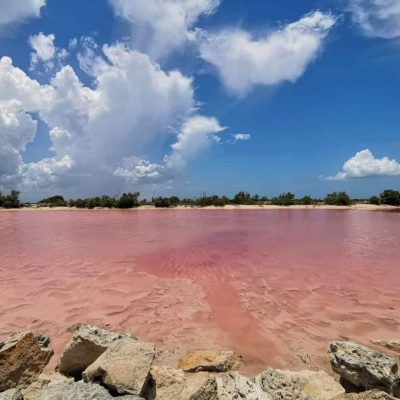 gay pink lagoon merida (1)